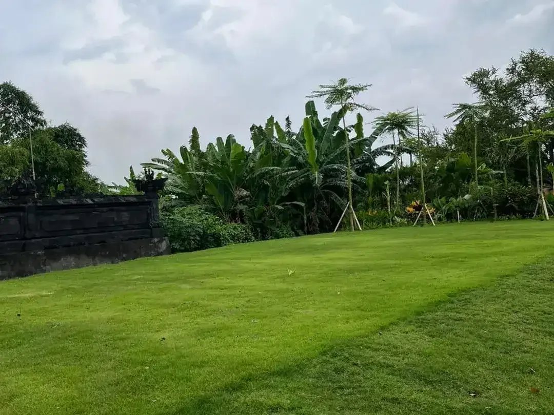 Kavling Tanah Luas di Denpasar Selatan Akses Tol Bali Mandira - Image 1 of 2