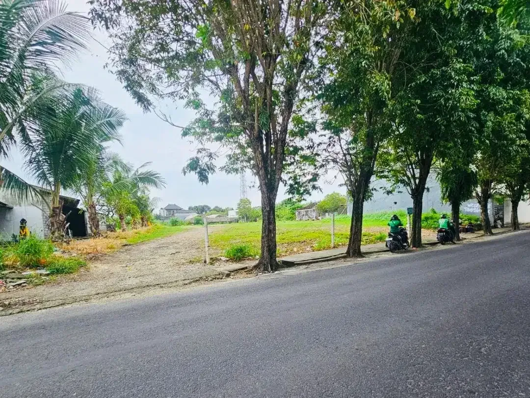 Tanah Raya Canggu Badung Bali - Image 1 of 6