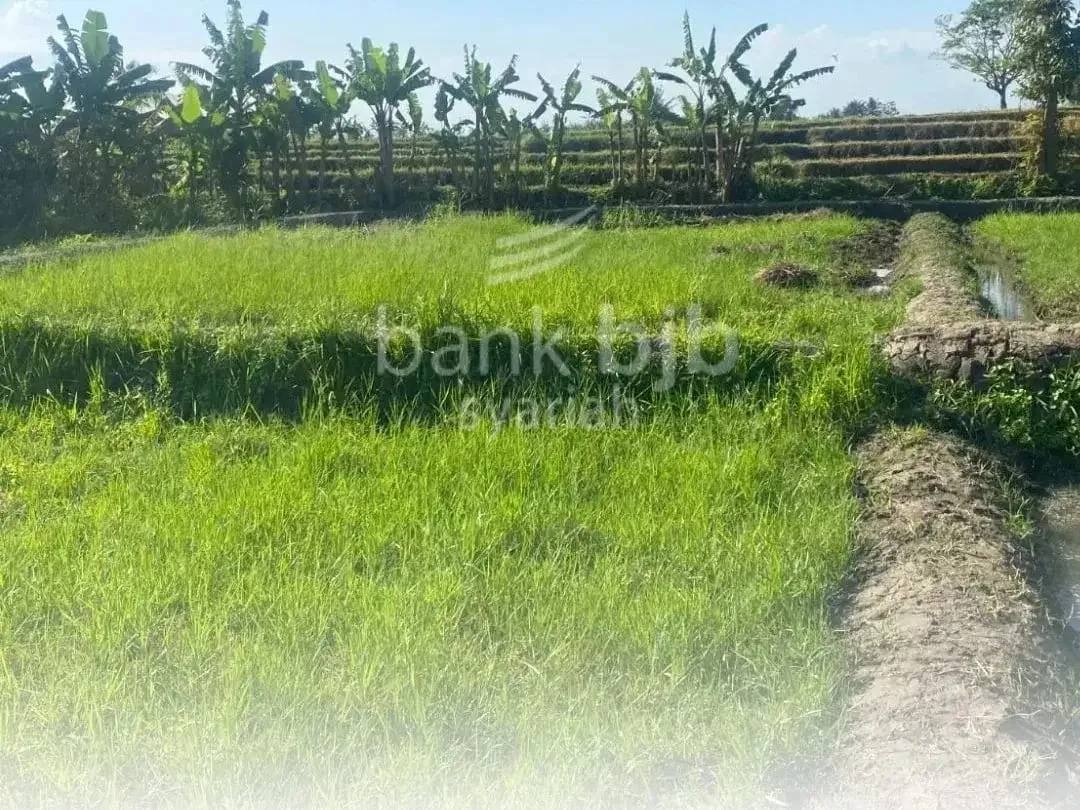 RUMAH ASETKU - SUKAWATI (TANAH) KABUPATEN GIANYAR - Image 3 of 4