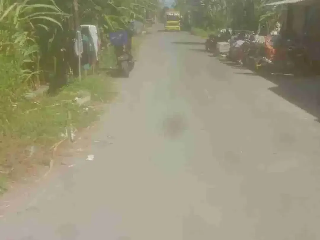 Disewakan Gudang 6a di Jln Tukad Badung Renon Denpasar Bali - Image 3 of 5