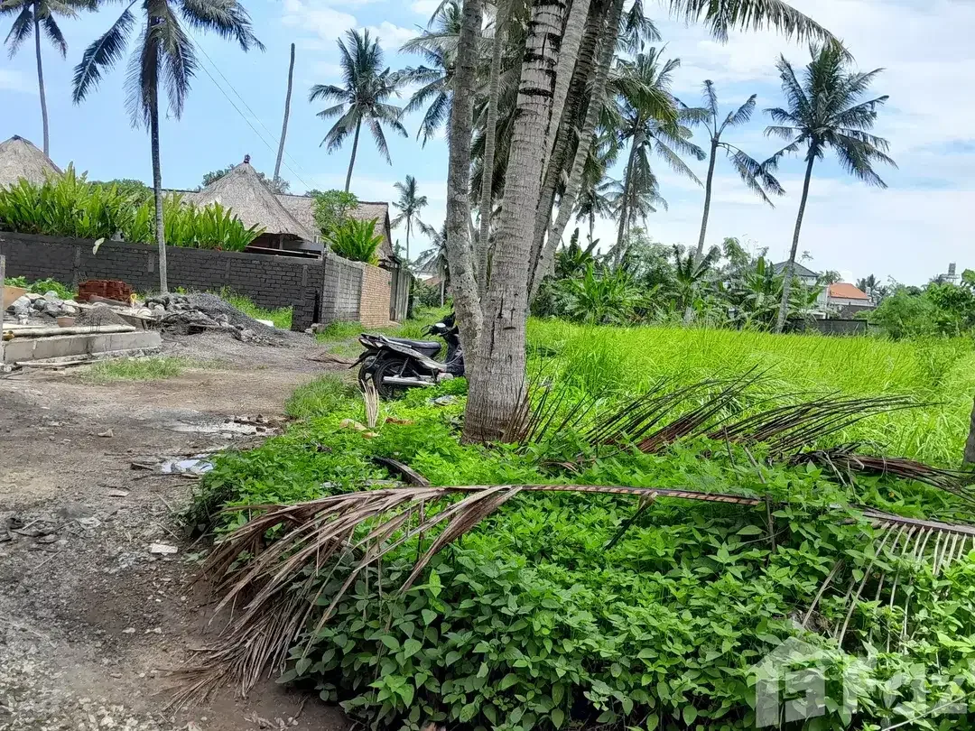 Land for sale in Ubud, Bali - Image 3 of 7