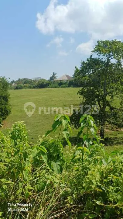 Tanah, SHM, Dekat Pantai, di Selemadeg Barat - Image 3 of 4