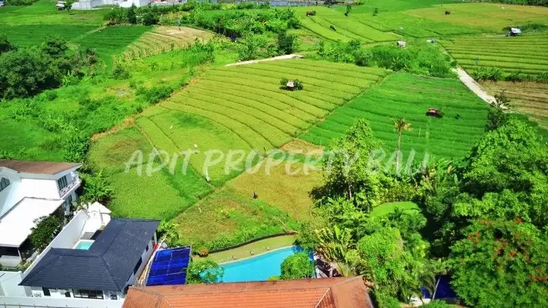 Villa Luxury View Sawah Berawa Canggu Badung Bali - Image 4 of 10