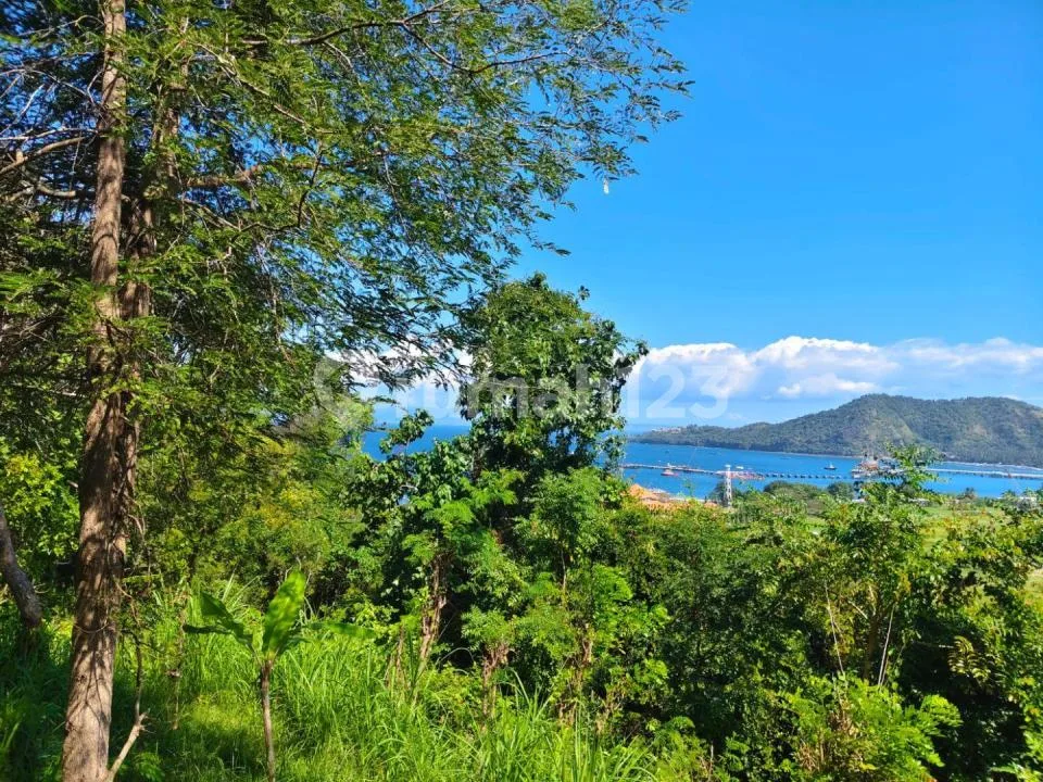 For Sale 3 Hektar Land Close To Alila Resort And Pecan View - Image 1 of 4