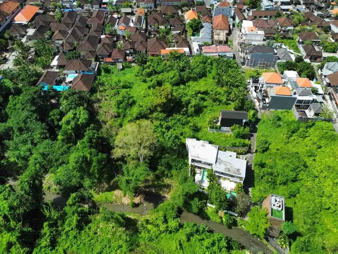 Land for Lease with Rice Field Views in Buduk - Image 2 of 9