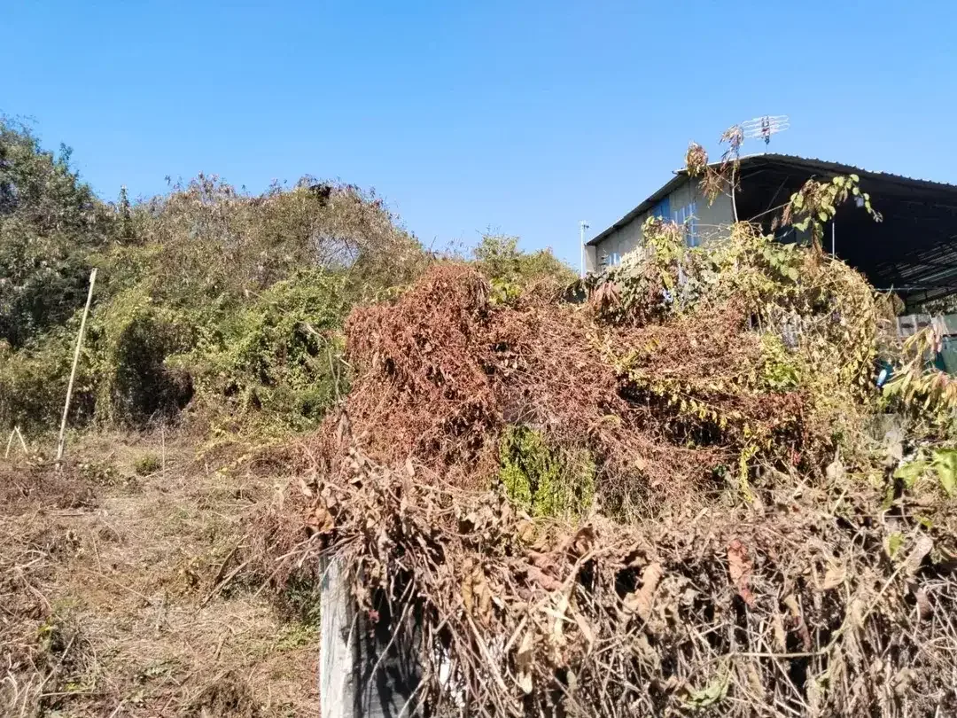 Dijual Tanah Komersil Lingkungan Ramai dan Strategis Cocok Dibuat Kos atau Tempat Komersil Lainnya - Image 7 of 10