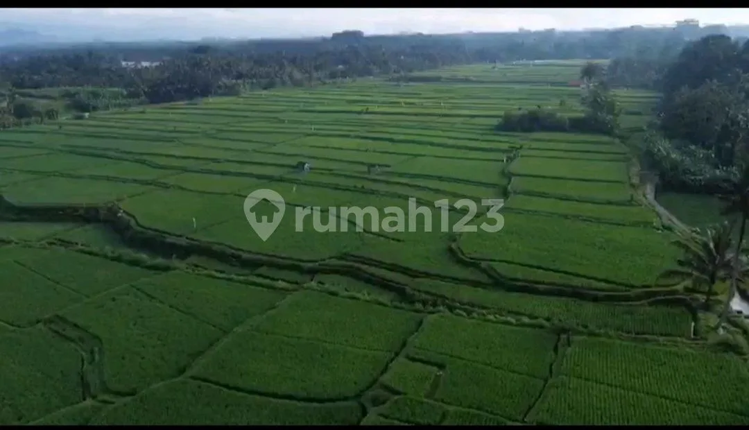 Tanah Dijual.second Payangan.ubud - Image 4 of 4
