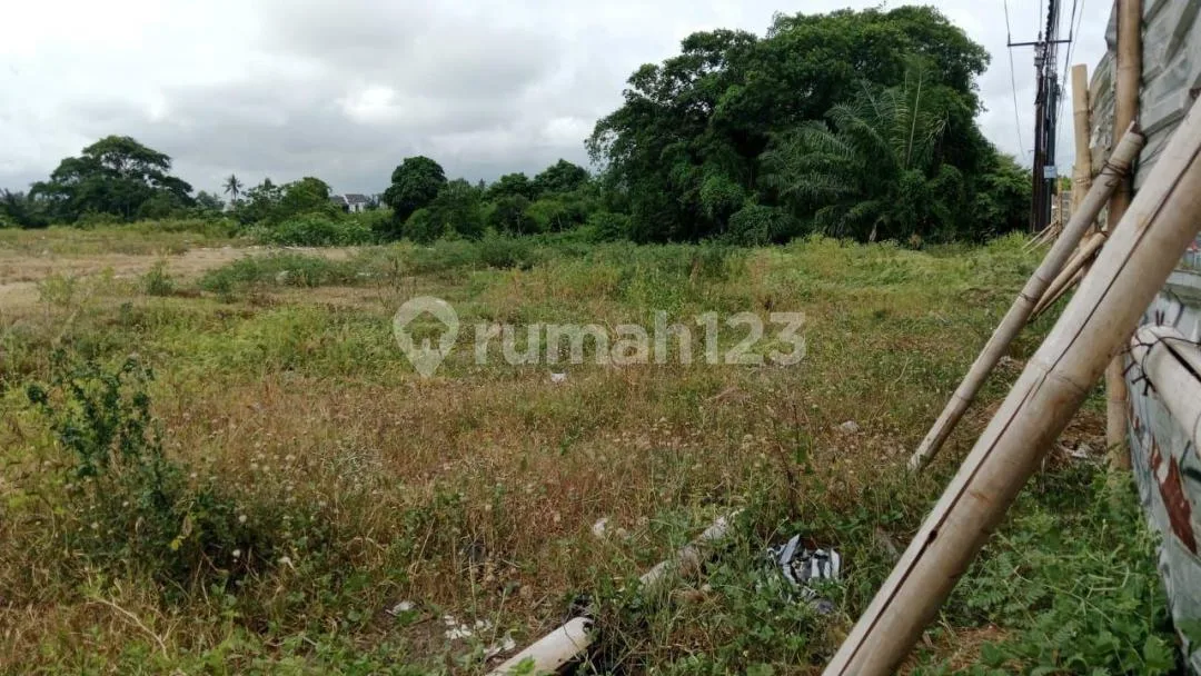Dijual Tanah Lokasi di Ketewel Ib Mantra , Cocok Gudang / Perumahan , Sekolah Rumah Sakit Dll - Image 3 of 4