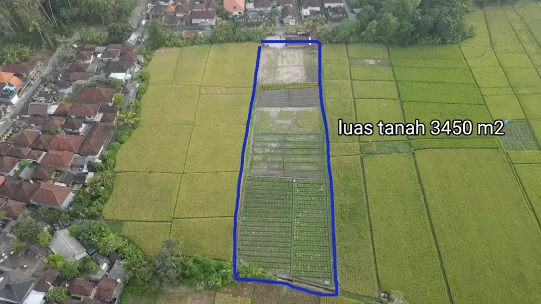 Tanah 3450m2 Full View Sawah di Pantai Kelating Tabanan - Image 2 of 10