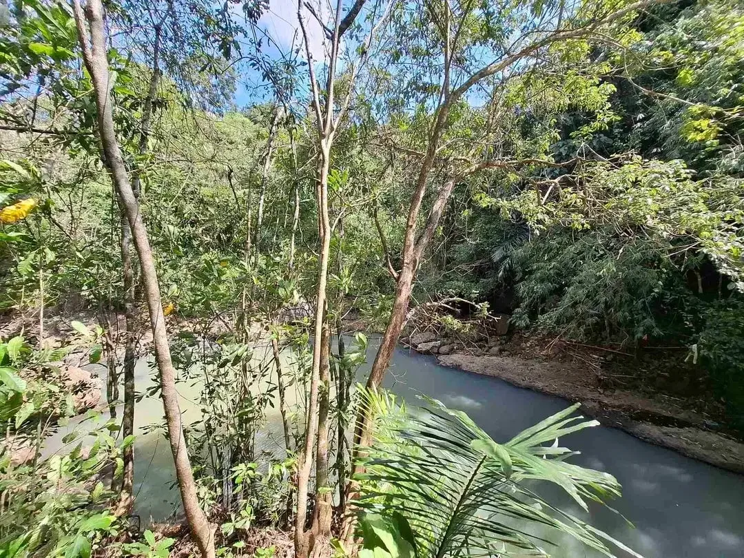 dijual tanah los sungai jernih berbatu lokasi sangat strategis dekat dengan jalan denpasar gilimanuk dijual di bawah harga pasar - Image 5 of 10