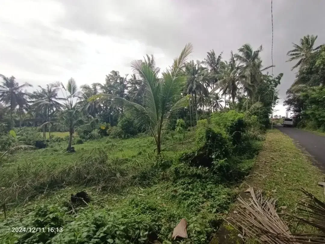 Tanah Zona Kuning Tidak LSD di Mambang Tabanan Bali - Image 3 of 3