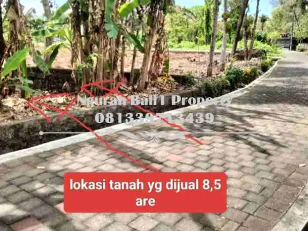 Dijual Tanah Murah Luas  8,5 Are Lokasi di Tanah Lot Tabanan - Image 1 of 6