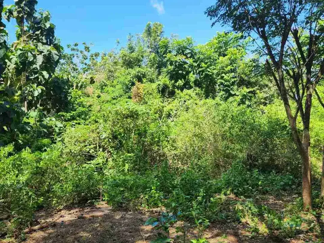 dijual tanah 50 are IDR 550 juta per are dekat Savaya pecatu badung bali - Image 7 of 8