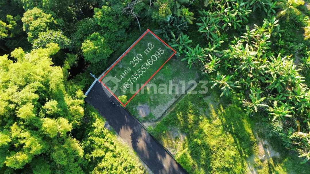 Dijual Lahan Premium View Sungai & Lembah - Dekat Ubud - Image 3 of 4