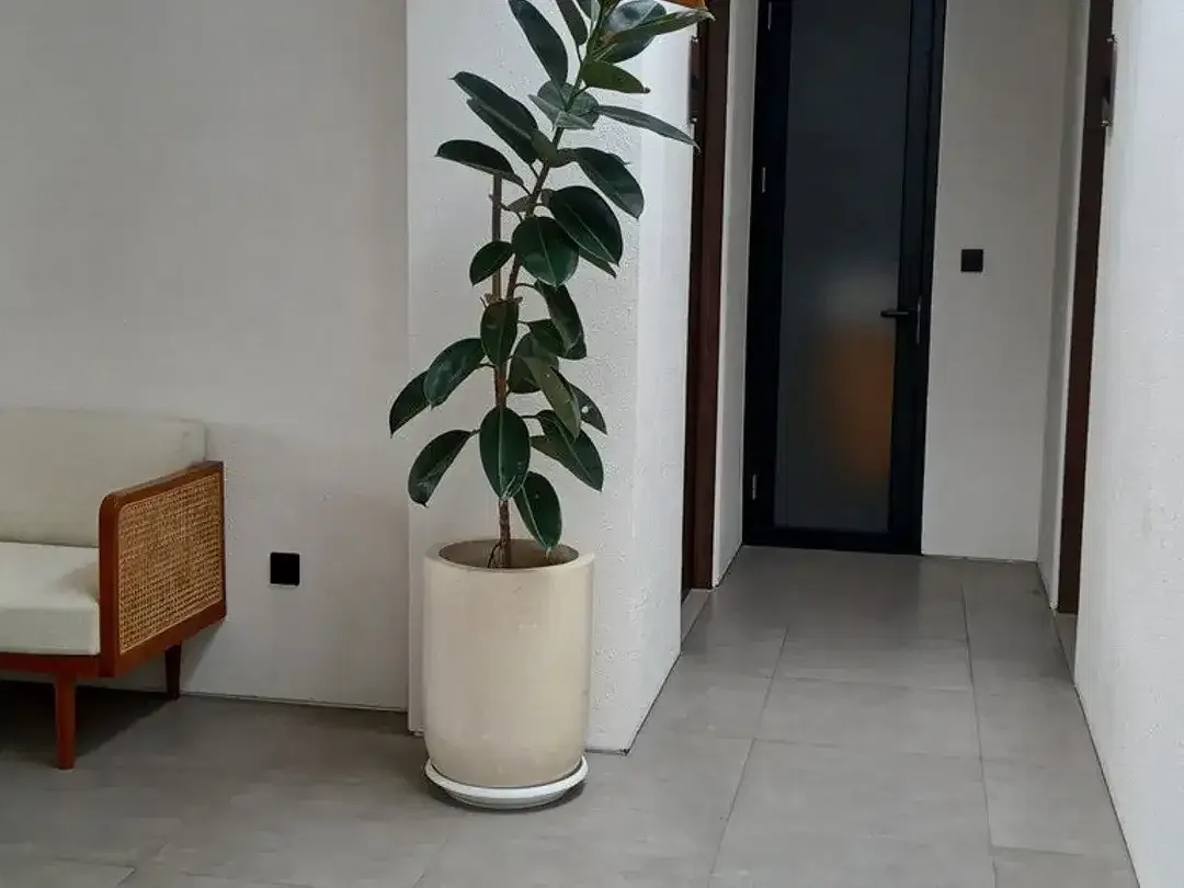 Modern Apartment In The Heart Of Canggu Sempol Pererenan - Image 6 of 10