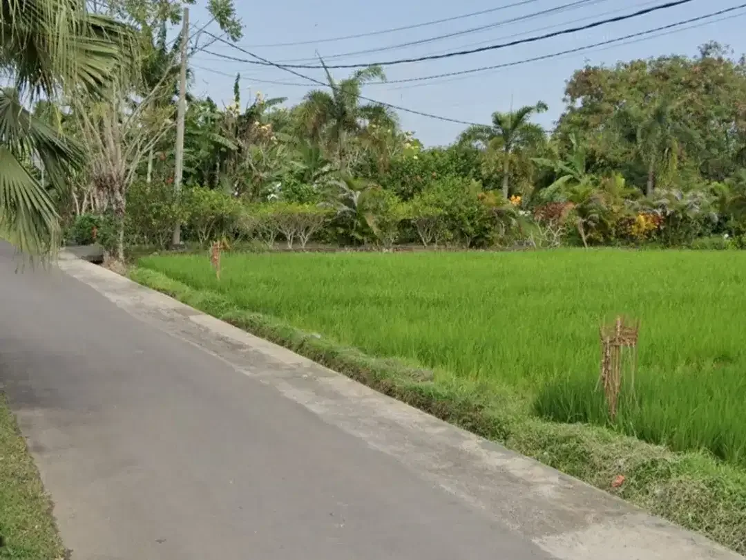 Land in Buwit - Image 3 of 7