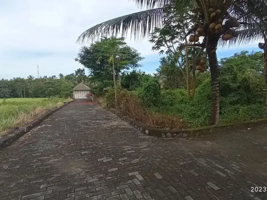 Tanah Kavling Luas Siap Bangun di Lokasi Strategis - Image 3 of 4