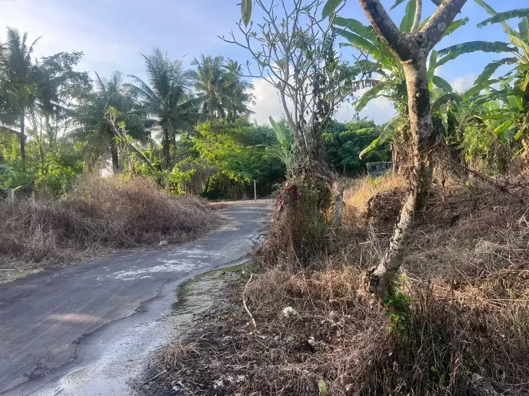 TANAH DIJUAL DI SAKAH, SUKAWATI, GIANYAR – KAWASAN VILLA | SHM | BISA PER 5 ARE - Image 5 of 6