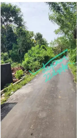 Tanah Bagus di jl. Belong bunter pecatu Bali - Image 3 of 10