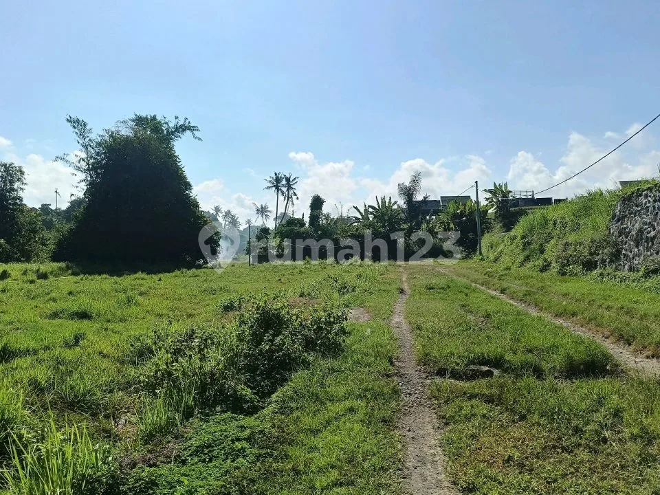 Tanah Cocok untuk Gudang di Ketewel Gianyar - Image 4 of 4