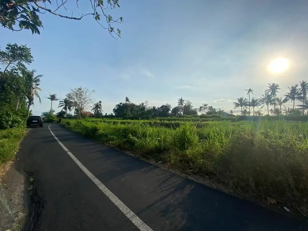 BUC Tanah 21 are Pinggir Jalan Utama di Pering Gianyar - Image 4 of 6