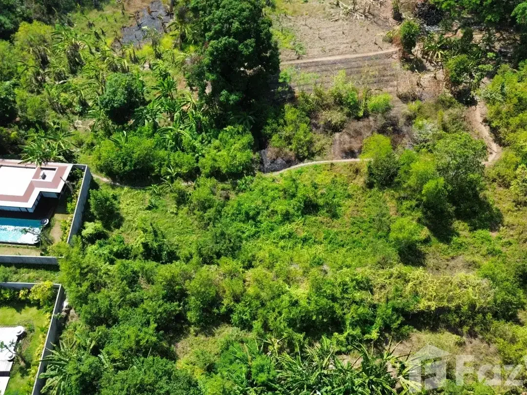 Land for sale in Sanur, Bali - Image 6 of 10