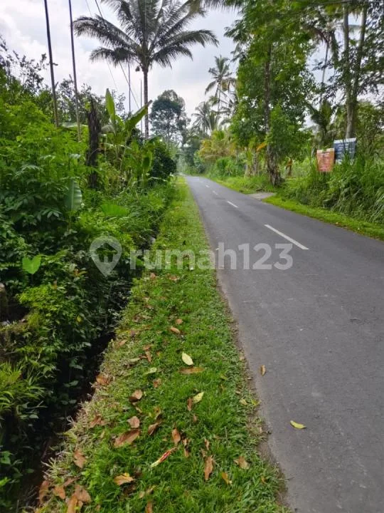 Dijual Tanah Murah di Bawah Harga Pasar - Taro, Utara Ubud - Image 2 of 4