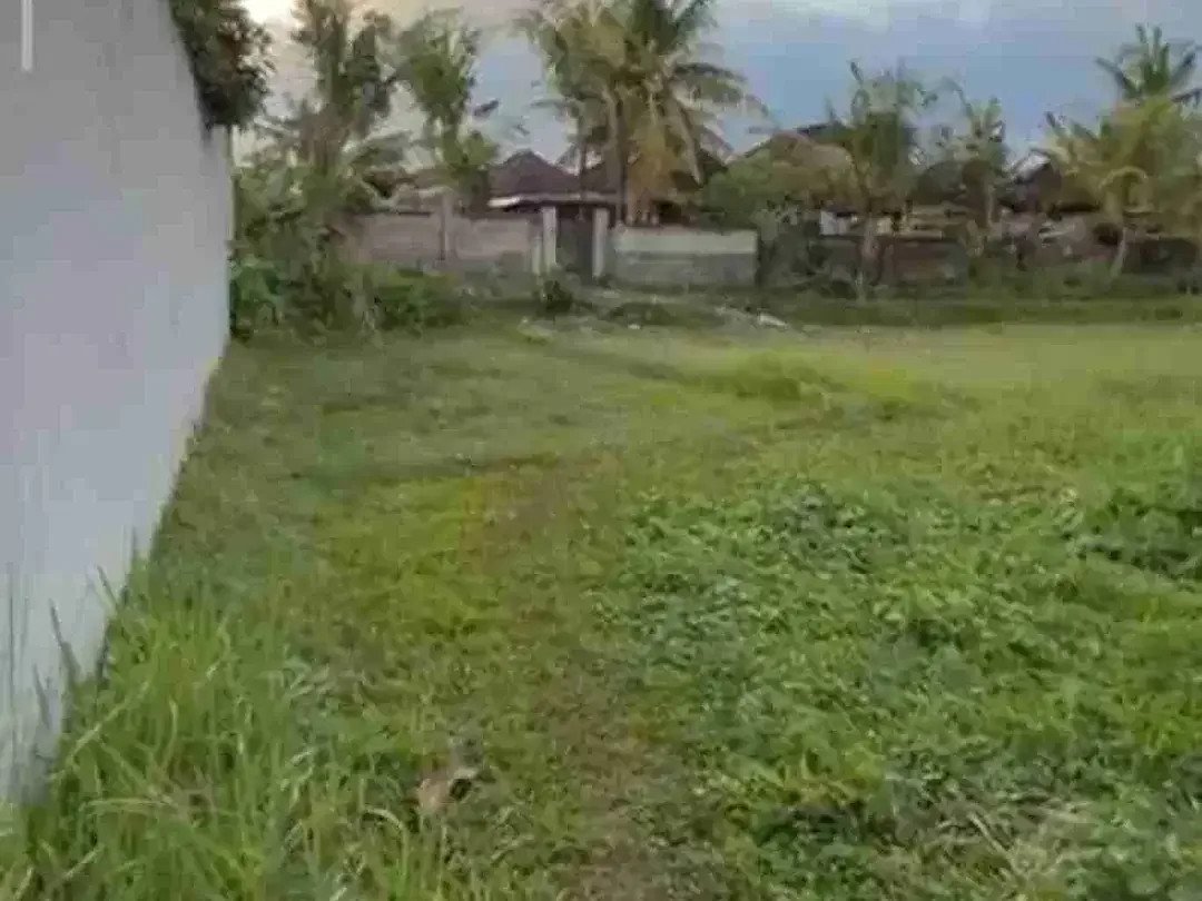 DIJUAL TANAH MURAH NYAMBU KABA KABA - Image 3 of 6