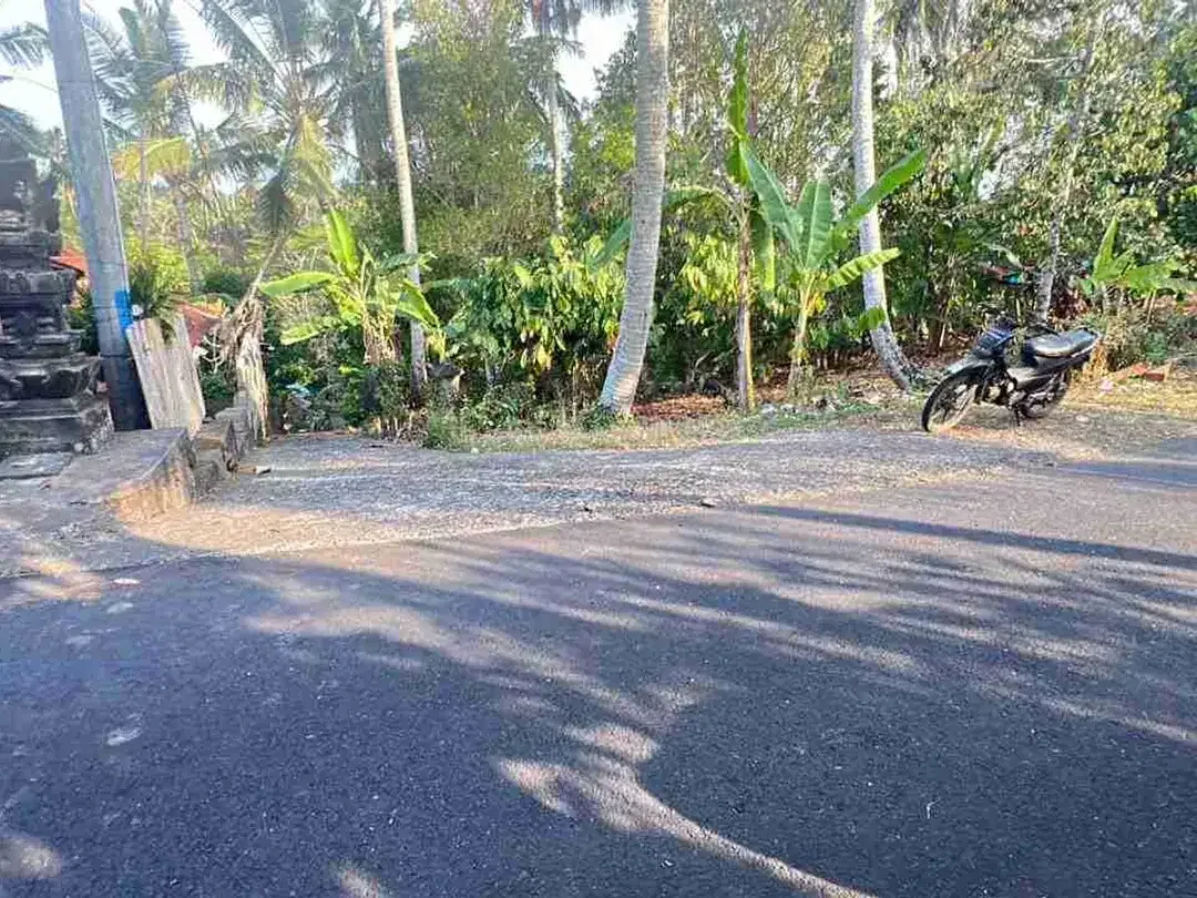 jual tanah kebun view bagus fi tabanan bali. - Image 6 of 10