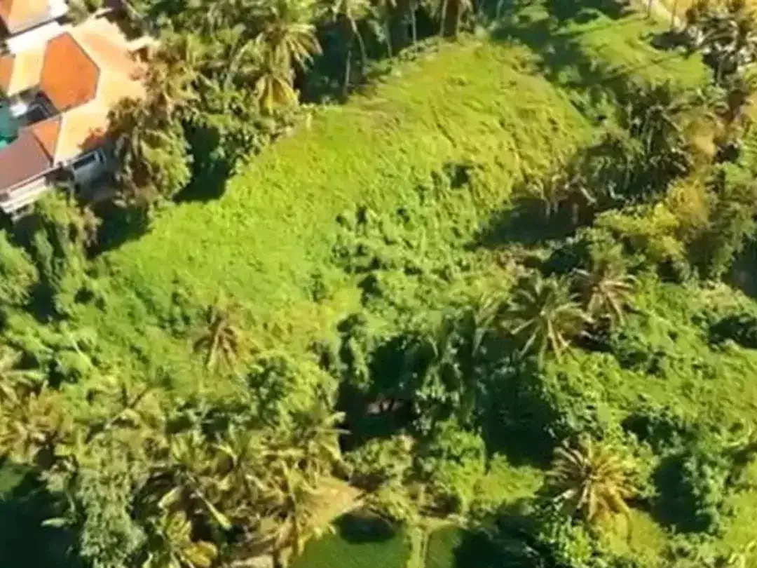 TANAH DENGAN THE BEST VIEW IN MAS UBUD GIANYAR - Image 4 of 9