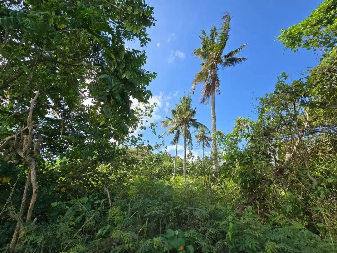 Dijual tanah kecil los pantai di bali - Image 6 of 10