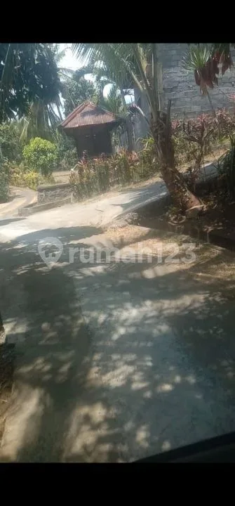 TANAH KEBUN VIEW LAUT BULIAN - Image 3 of 4