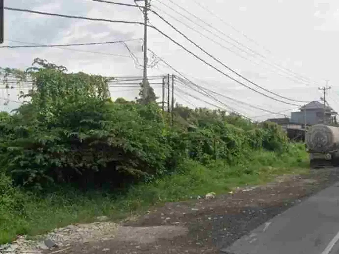 Disewakan Tanah 1ha di pinggir Jln Bay Pas IB Mantra Pering/Saba Gianyar Bali - Image 6 of 9