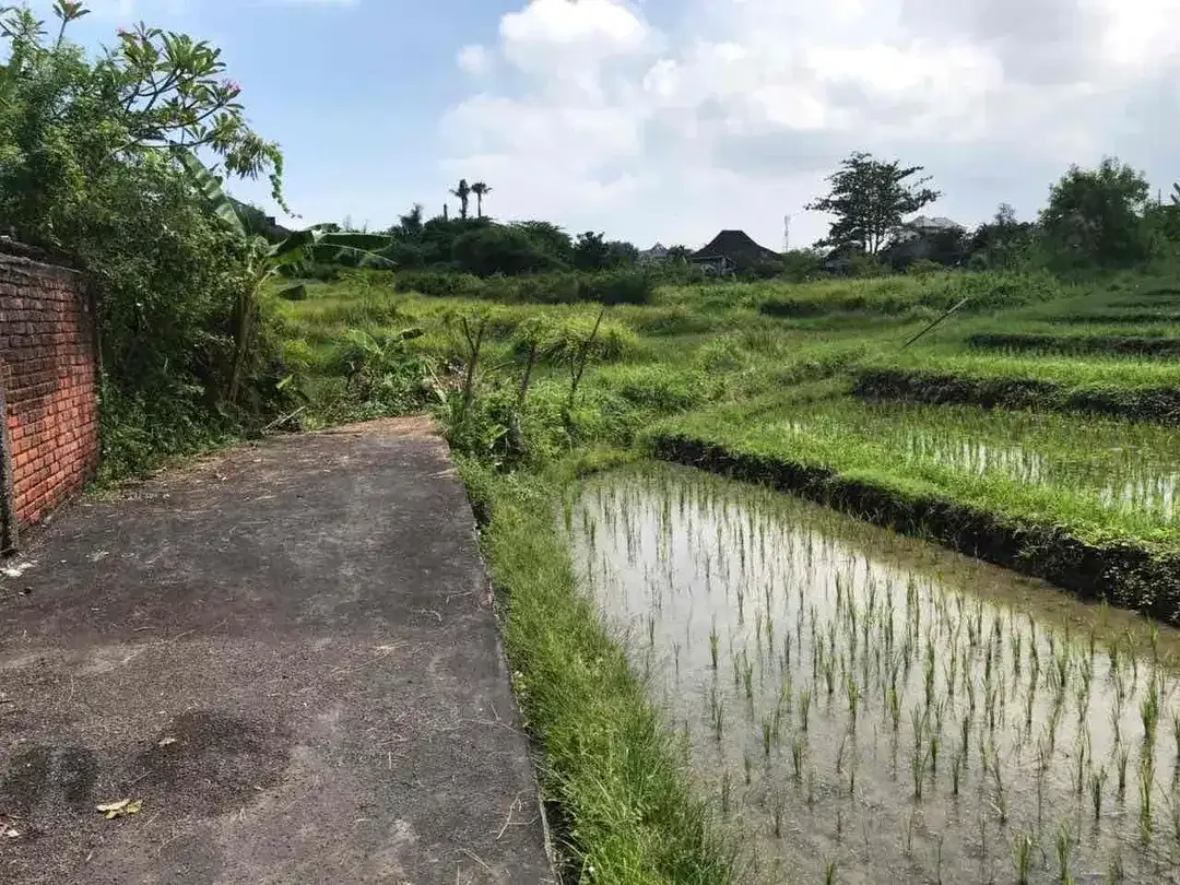 Dijual Tanah di Jalan Umalas II Kerobokan Kuta - Image 6 of 10