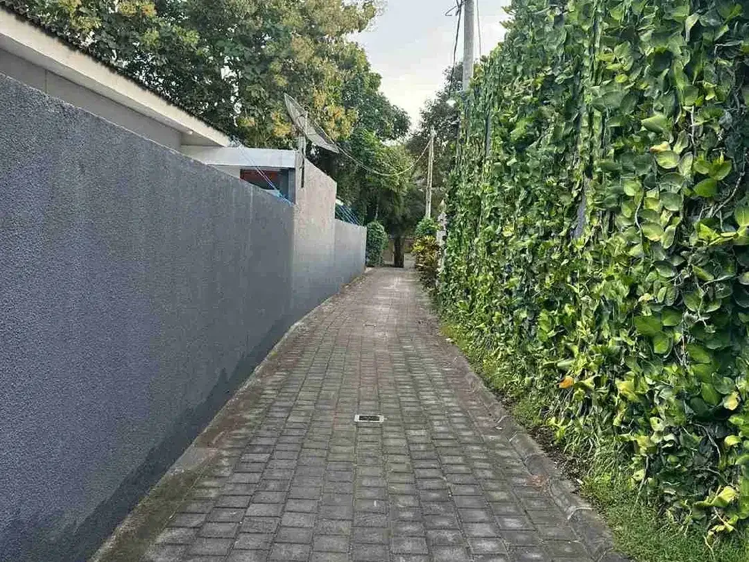 Tanah petitenget seminyak dekat pantai - Image 4 of 7