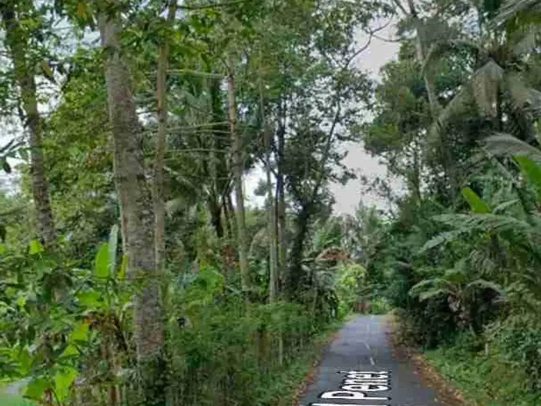 Tanah View Tebing Jungle di Tukad Penet Petang Badung - Image 8 of 8