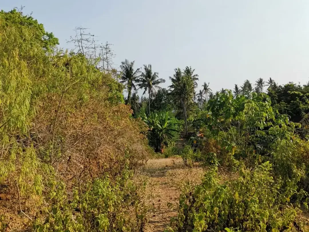 DIJUAL TANAH STRATEGIS PINGGIR PANTAI DI BALI - Image 4 of 10