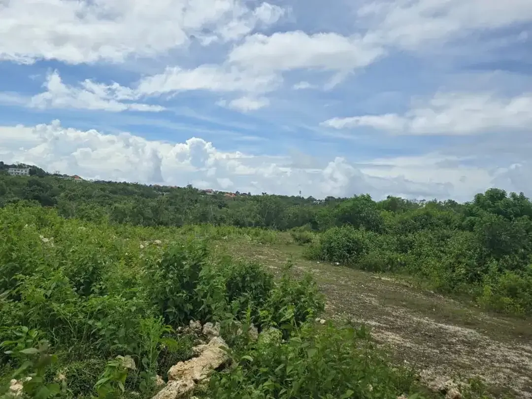 FOR SALE – Tanah Premium 1,66 Ha di Cemongkak Pecatu, Uluwatu Bali | Ocean View | SHM/Freehold | Villa Area - Image 1 of 10