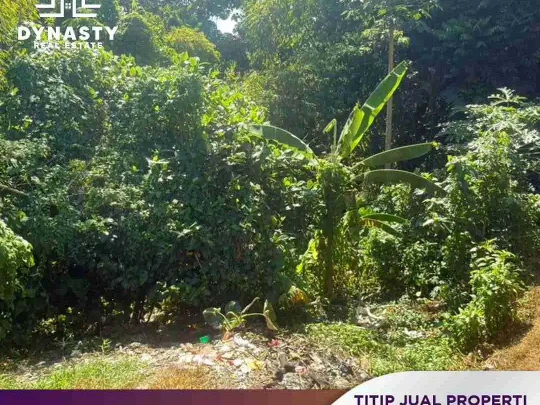 LAND FOR SALE – DALUNG | HARGA MURAH & POTENSIAL INVESTASI - Image 7 of 10