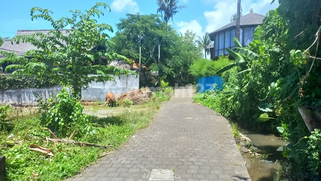 Tanah 13.5 Are Jln Veteran Tiyingtutul Canggu - Image 4 of 4