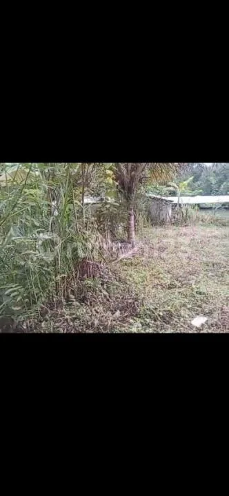 Tanah Super Murah Taro Utara Ubud Siap Bangun - Image 3 of 4
