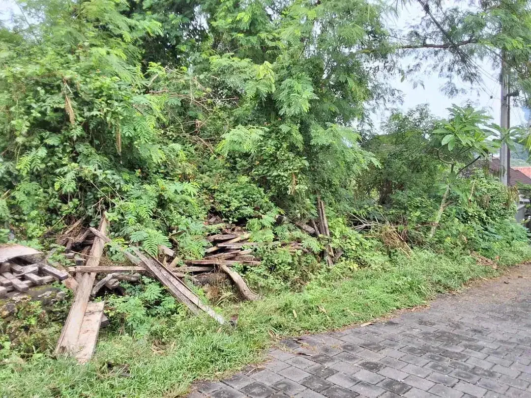 Sebidang tanah dengan luasan 12are berlokasi di kawasan Bali Kencana cocok untuk villa. - Image 6 of 6