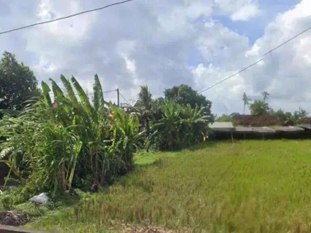 Dijual Tanah Strategis Jalan Sukawati Gianyar - Image 5 of 7