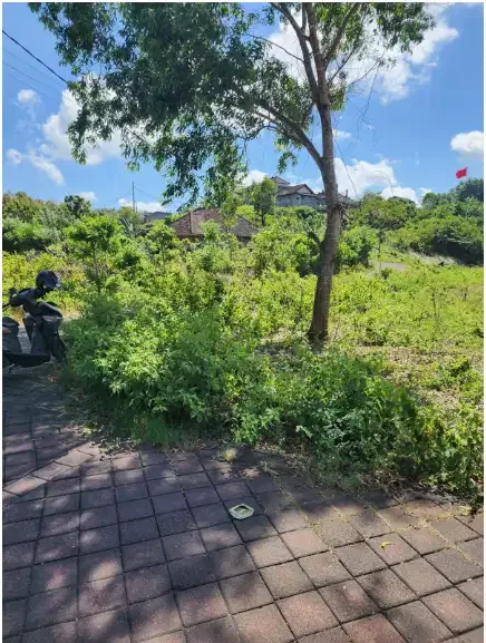 Land for lease at ungasan - Image 5 of 10