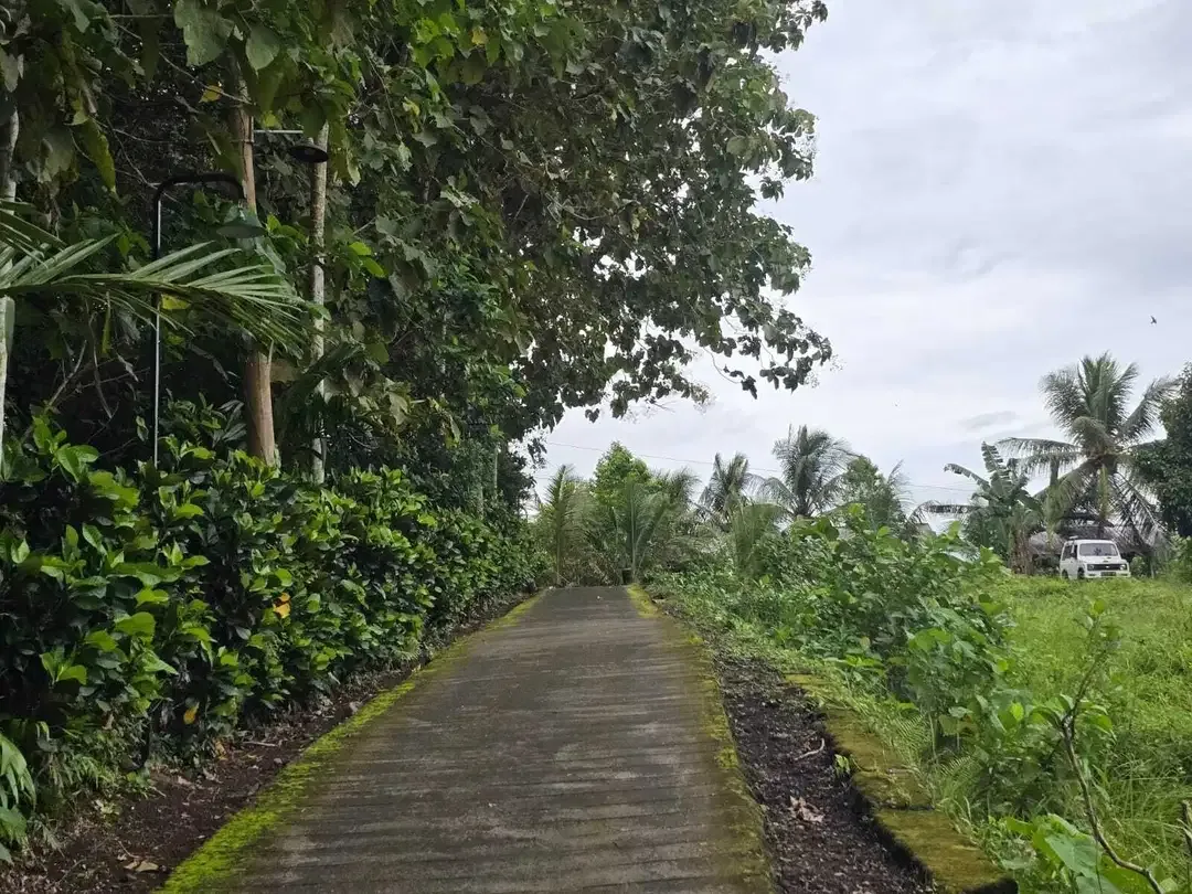 Dijual tanah luasan kecil berdampingan dengan villa komersil - Image 2 of 7
