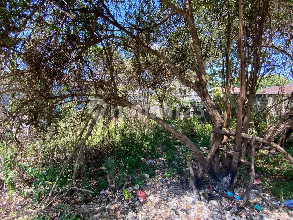 Tanah Jual Murah di Ungasan Dekat Pantai Melasti - Image 4 of 4