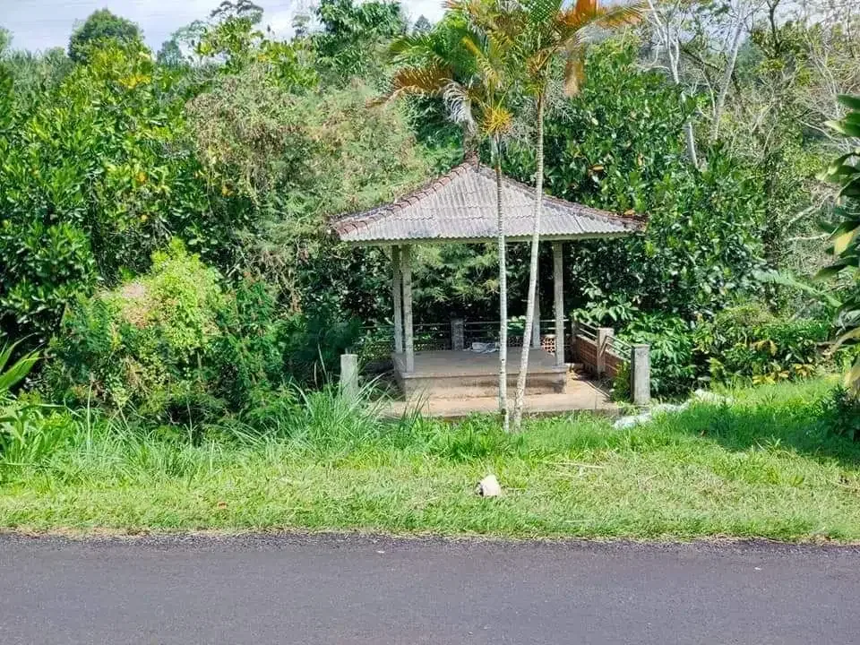 Dijual Tanah Di Jalan Utama Pupuan - Image 2 of 4