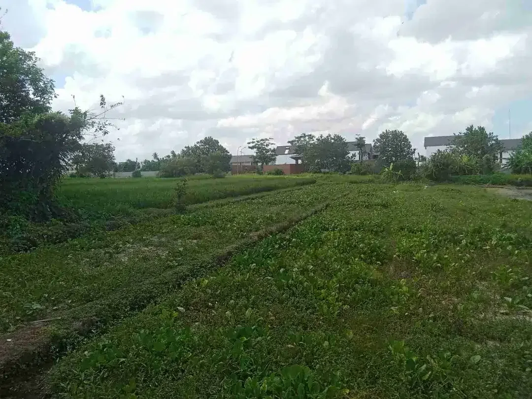 Tanah Prime View Sawah Di Ciputra Resort Pangkung Tibah Kediri Tabanan - Image 3 of 10