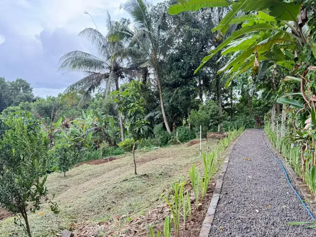 Tanah kebun 33are (Bonus Villa Kayu Siap Huni) Kawasan Wisata Megati Sesandan, Tabanan Bali - Image 5 of 10