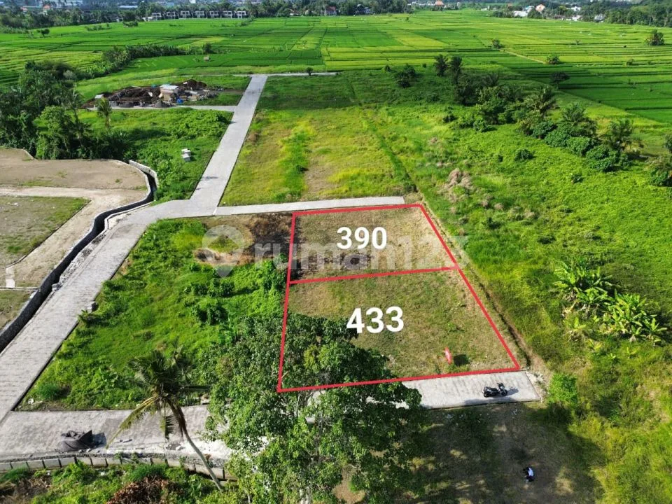 Tanah Canggu Nuanu Kedungu Siap Bangun Villa - Image 4 of 4